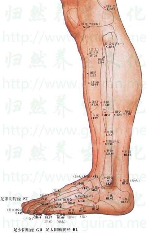 金門穴功效|金門穴 